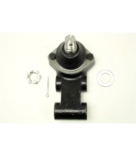 Rotula central y soporte - TF1129