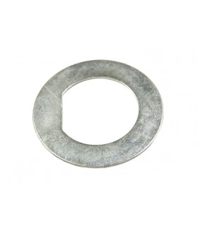 Arandela de seguridad - FTC3179