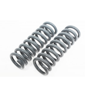 Muelles delanteros carga media - TF040