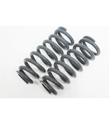 Muelles traseros carga media - TF041